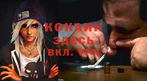 mix Ельня
