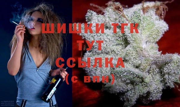 mix Ельня